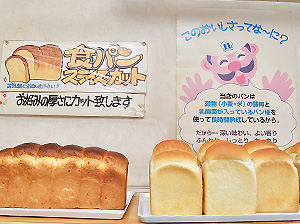 手間を惜しまず、基本に忠実に作り上げた素朴なパン